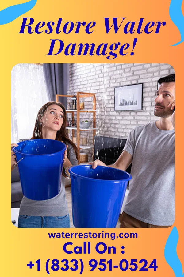 water restoration Prime Sewage Cleanup Masters Arcanum