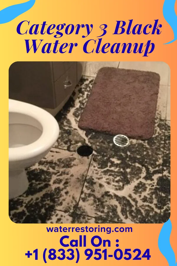 Category 3 Black Water Cleanup in Arcanum, OH
