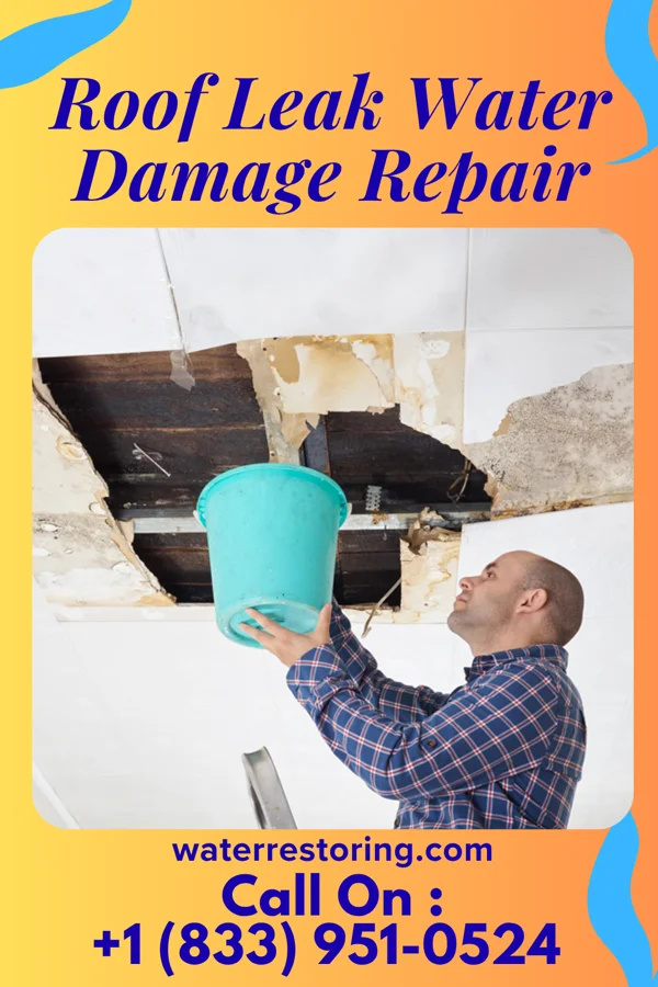 Roof Leak Water Damage Repair in Arcanum, OH