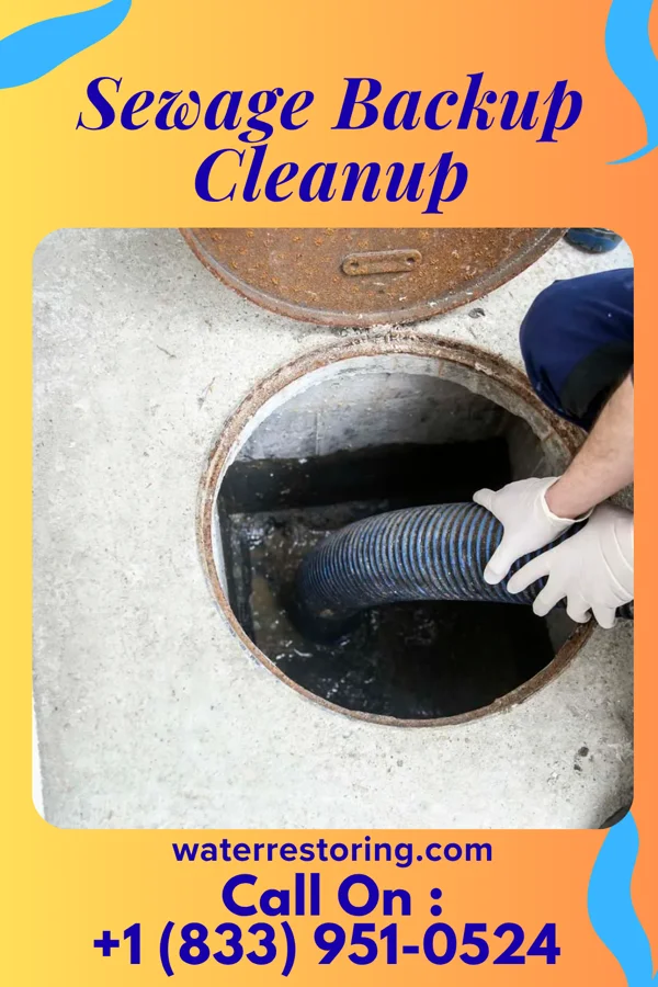 Sewage Backup Cleanup in Arcanum, OH