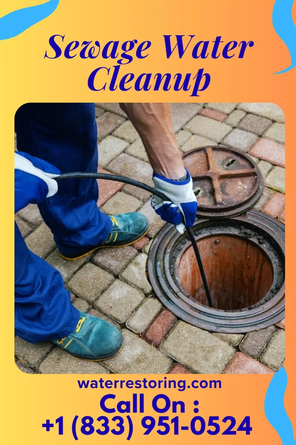 Sewage Water Cleanup in Arcanum, OH