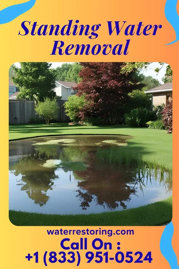 Standing Water Removal in Arcanum, OH